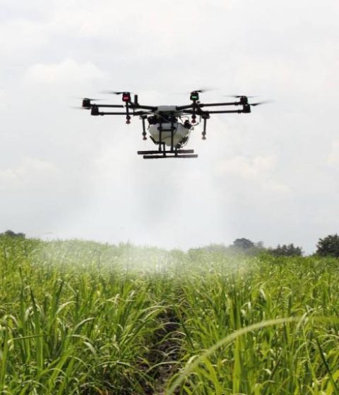 drone_realizando_pulverizacao